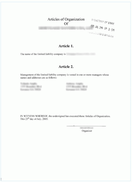 Electronic Articles of Organization For Georgia Limited Liability Company (1st page)