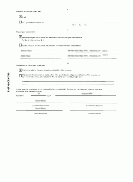 Electronic Articles of Organization For Hawaii Limited Liability Company (2nd page)