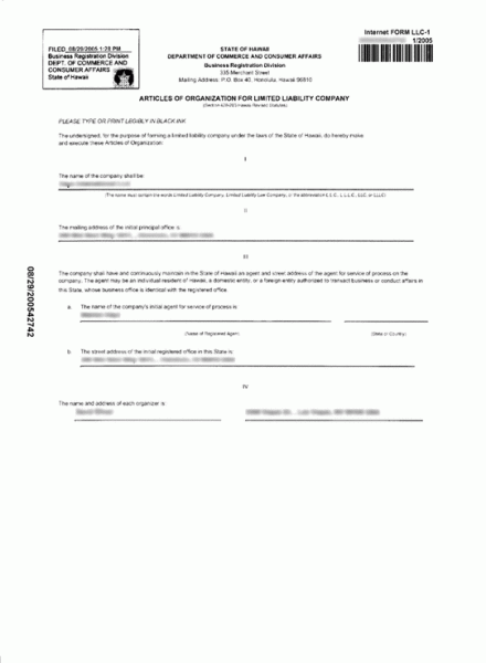 Electronic Articles of Organization For Hawaii Limited Liability Company (1st page)